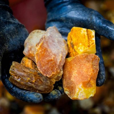 The Kaliningrad Amber Combine has Set a New Record in Annual Amber Mining 