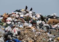 Переработку мусора предлагают приравнять к инновациям