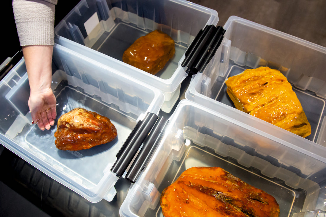 На Янтарном комбинате «искупали» самородки