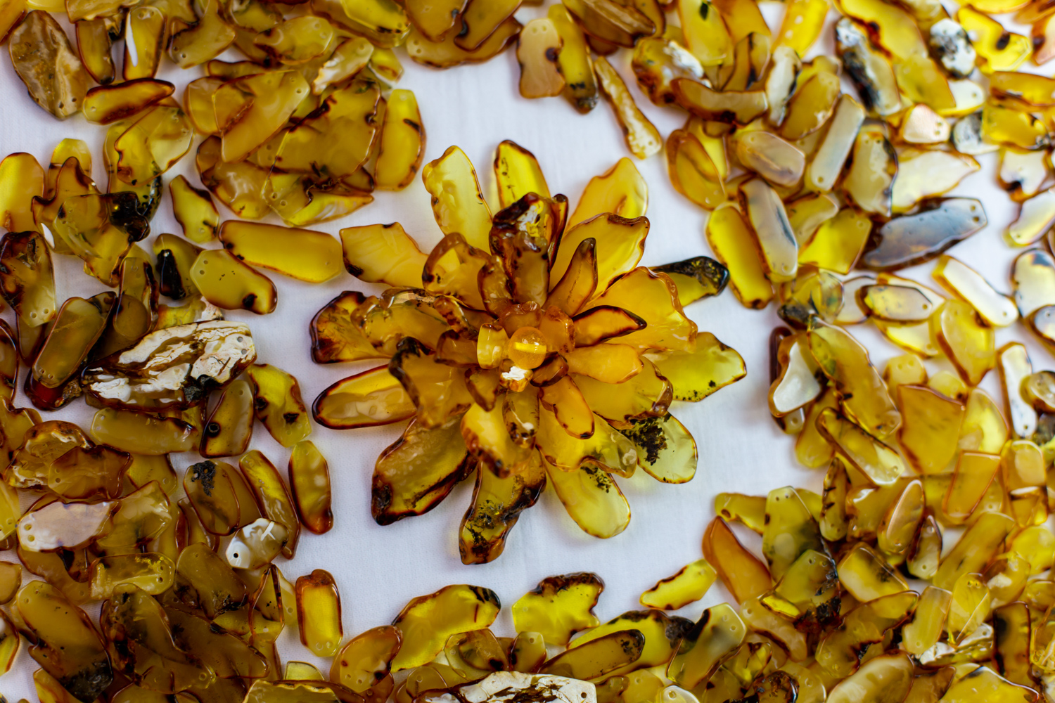 Янтарный комбинат представил коллекцию «Королевская магнолия»