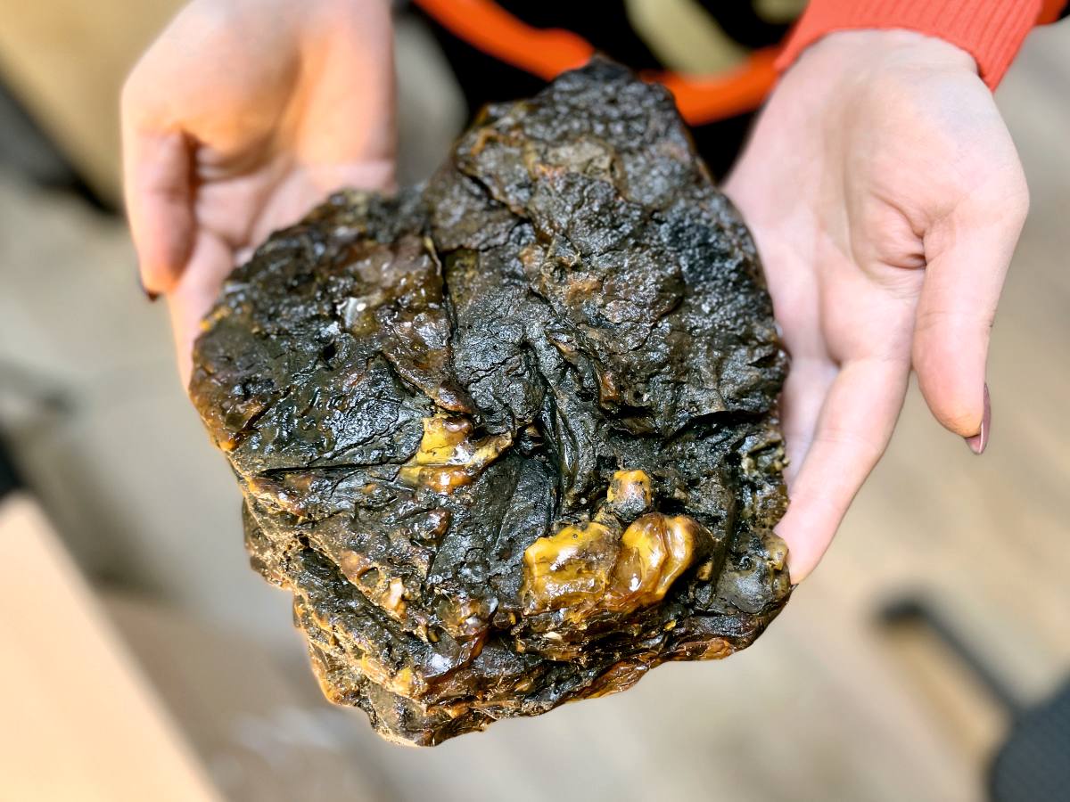 Янтарный комбинат добыл первый в 2024 году самородок 