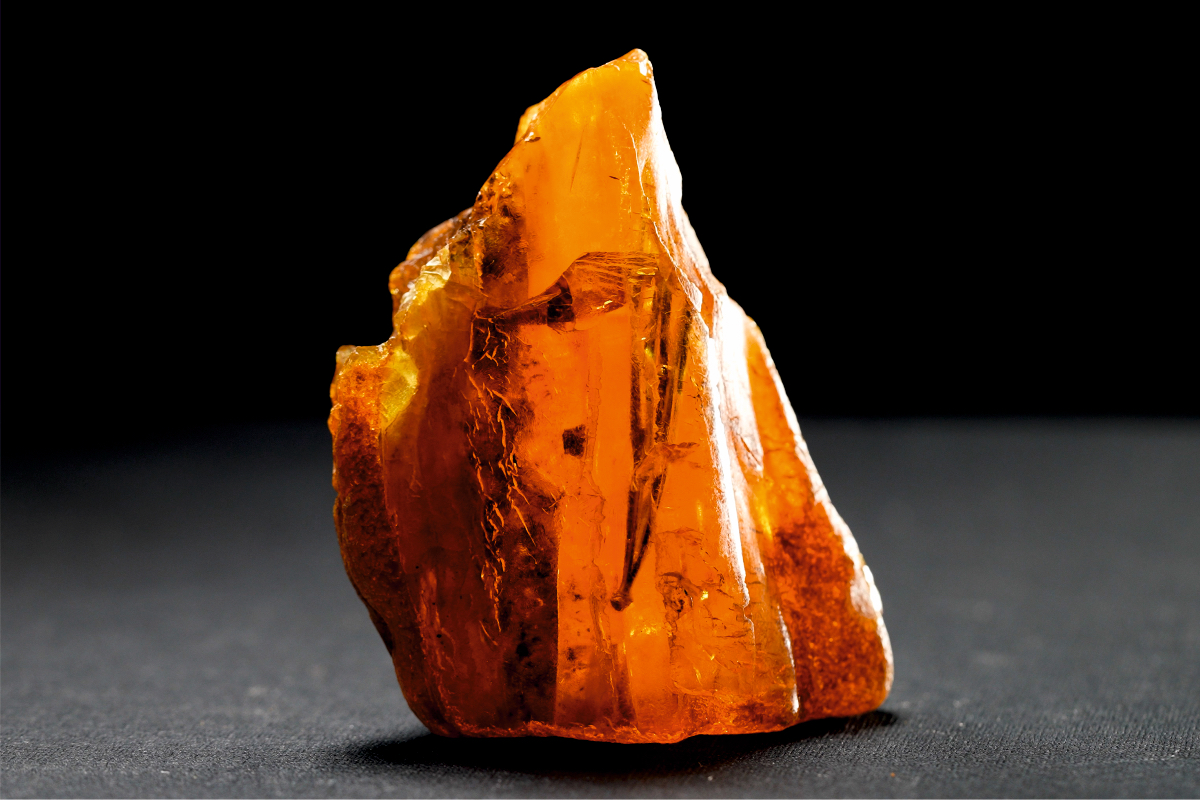 A Rare Fossil Amber Inclusion was Found at Rostec’s Amber Combine