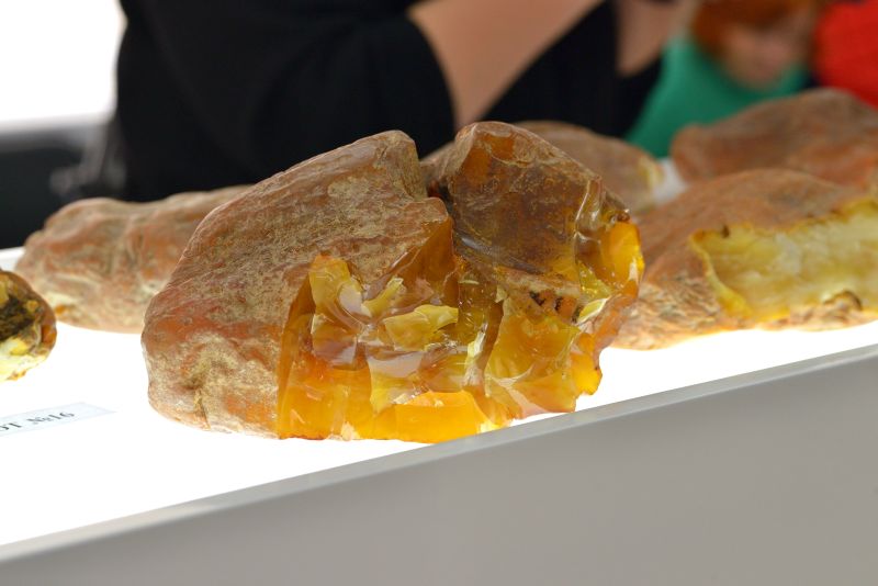 Более 1 млн рублей заплатили за самый дорогой самородок на аукционе янтаря Ростеха 