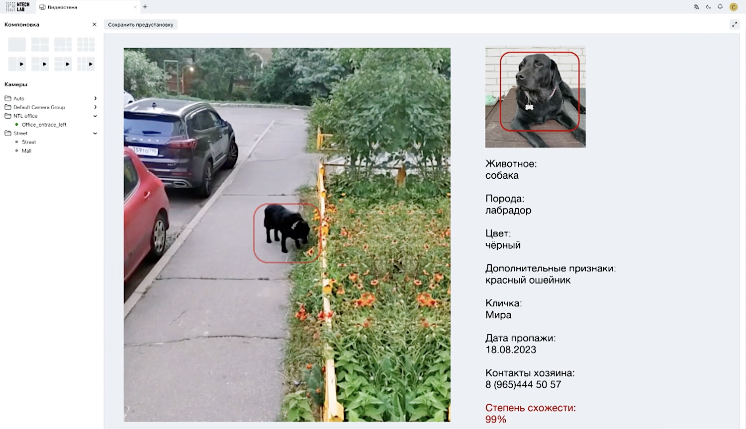 ИИ помог найти более тысячи домашних животных в Подмосковье