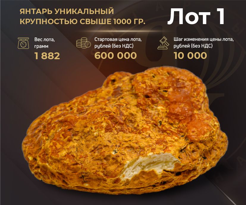 Калининградский янтарный комбинат выставит на аукционе образцы редкого янтаря 