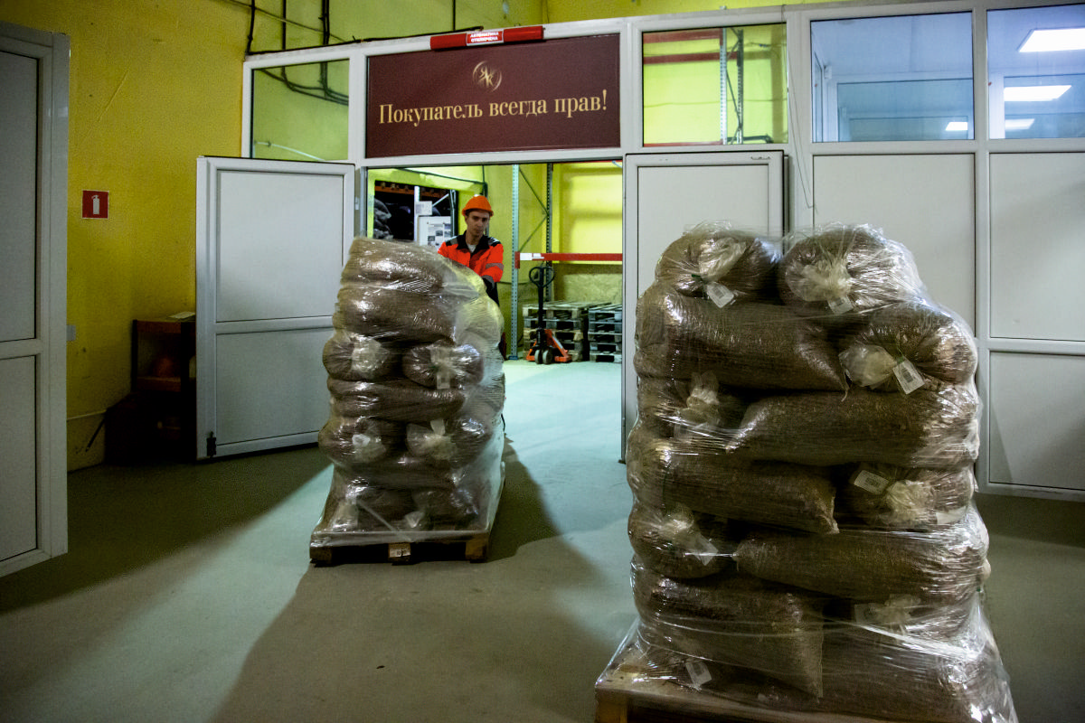 Янтарный комбинат поставил первую партию сырья по новому контракту с янтарным кластером