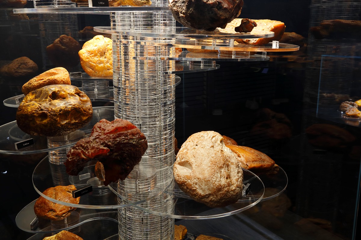 Калининградский комбинат открывает международный экономический форум янтарной отрасли