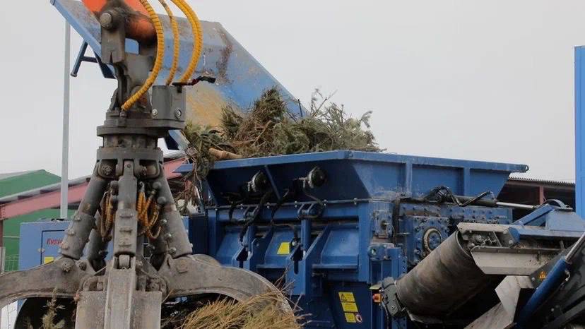 «РТ-Инвест» подвел итоги акции по переработке новогодних елок 