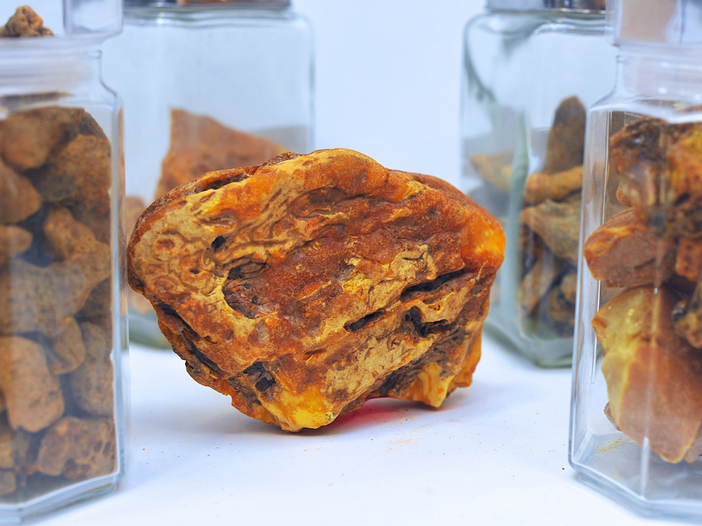 Kaliningrad Amber Combine to Sell 20 Large Nuggets by Public Auction