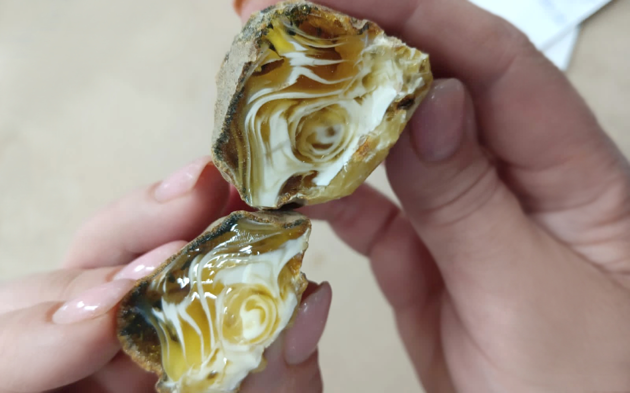 Янтарный комбинат Ростеха обнаружил редкий «улыбающийся» самоцвет