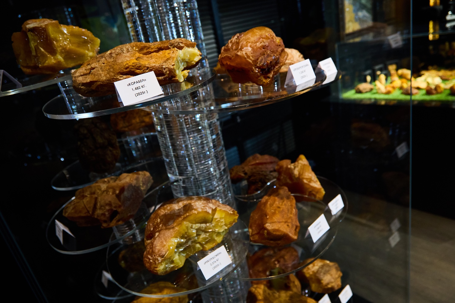 Янтарный комбинат Ростеха покажет уникальные самородки