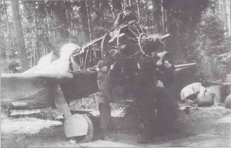 272496_pic_49.jpg 272496_pic_49.jpg