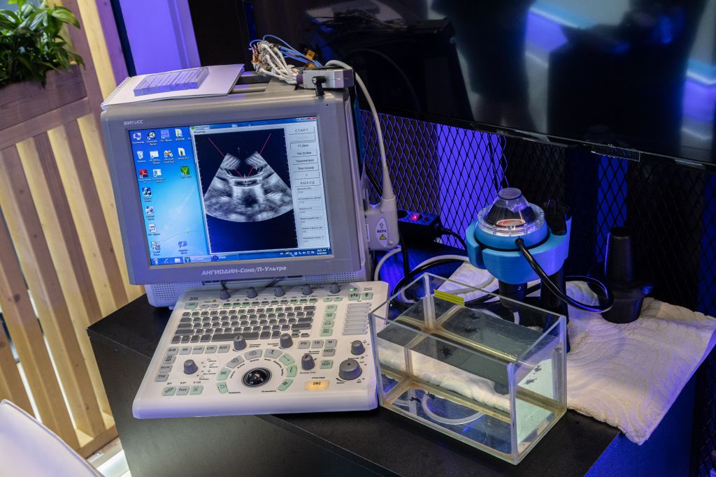 IROD8369.jpg IROD8369.jpg