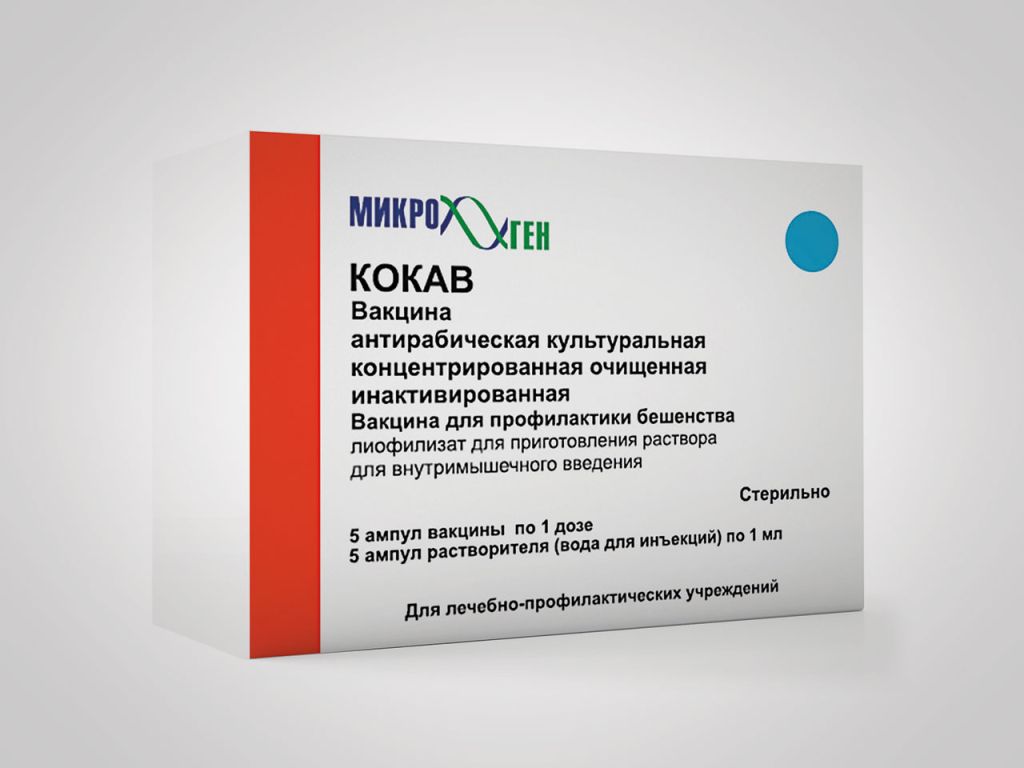 kokav-2024.jpg
