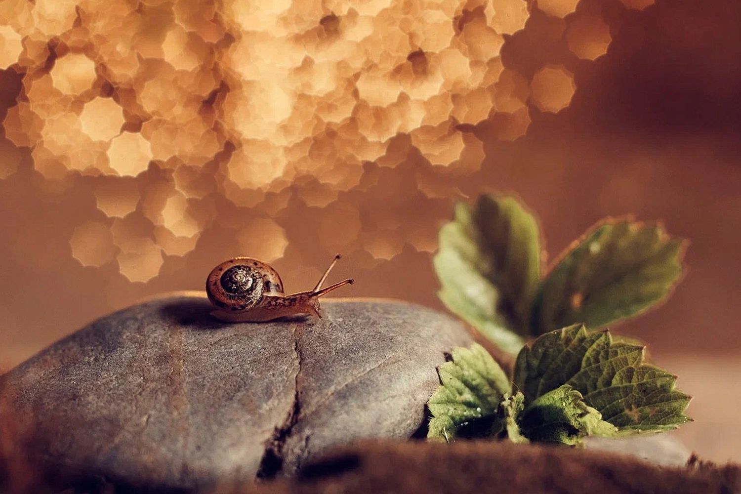 «Швабе» и правительство Москвы проводят серию фотовыставок в парках столицы