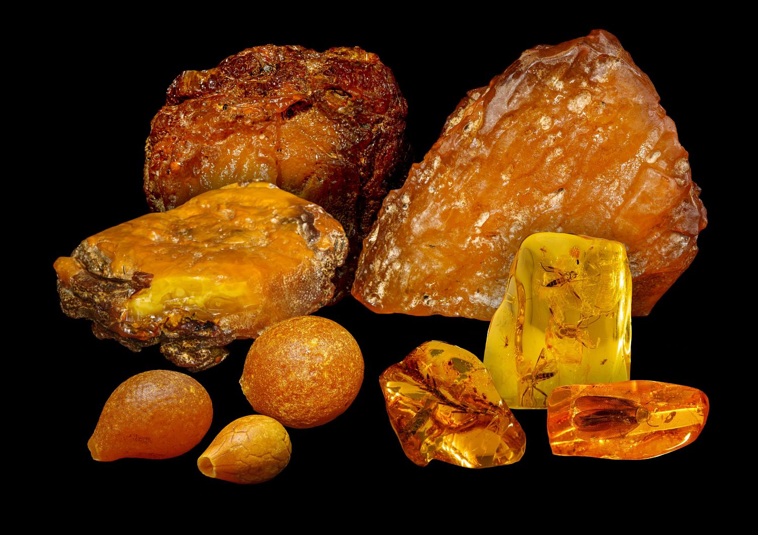 Калининградский янтарный комбинат представил лоты для аукциона редкого янтаря