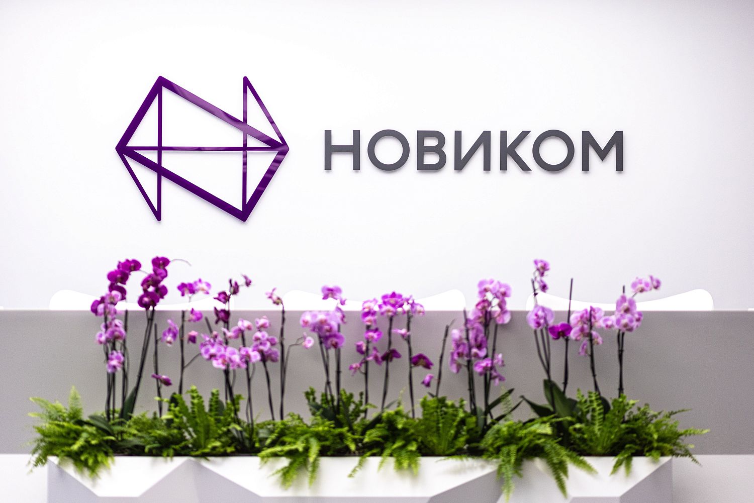 НОВИКОМ отмечает день рождения