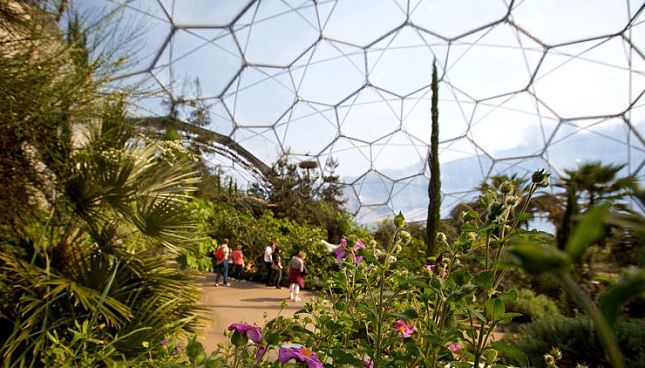 Фторполимерные пленки NEVAFLON